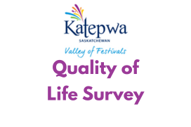 Quality of Life Survey