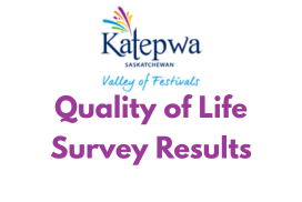 Quality of Life Survey Results